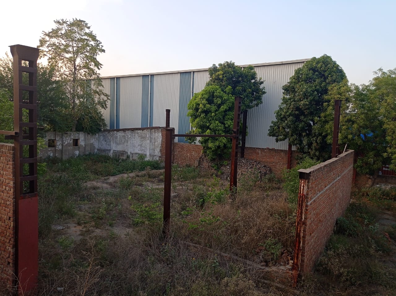 PLOT IN CHOPANKI